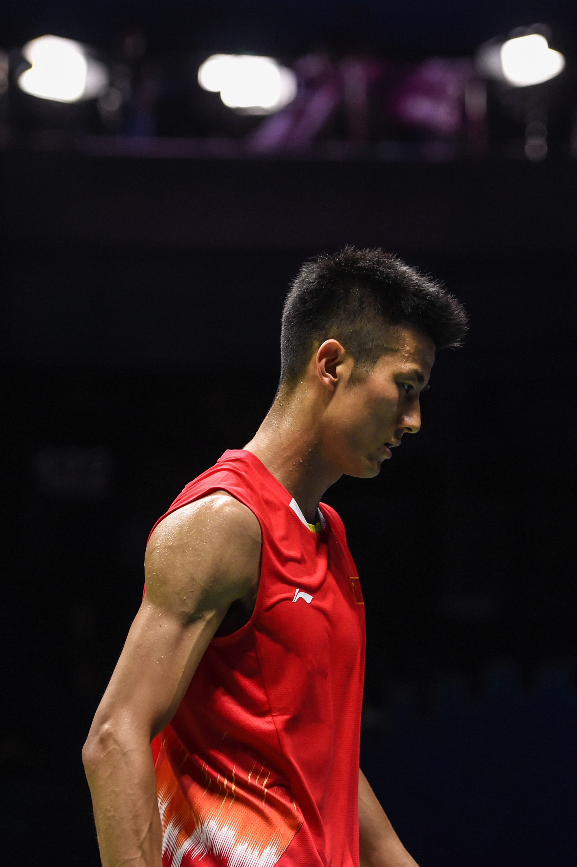 法国羽毛球队血洗韩国羽毛球队，谌龙惊艳世界的简单介绍