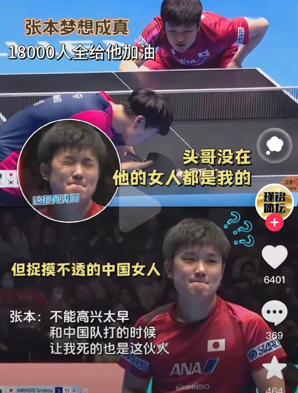 波兰乒乓球队血洗奥地利乒乓球队，张本智和统治全场的简单介绍