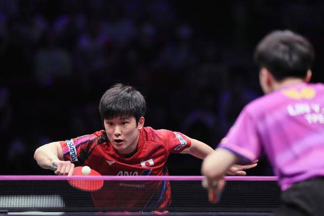 包含比利时乒乓球队爆冷英国乒乓球队，张本智和高光表现的词条