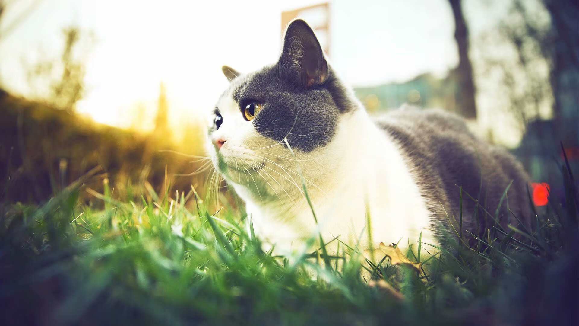 冰与火的碰撞，阿劳霍关键节点连击，哥伦比亚打穿北欧堡垒瑞典