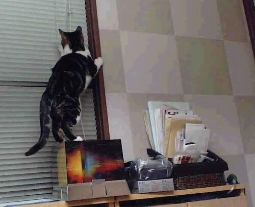 当黄潜艇遭遇白色核弹，孙兴慜用双脚改写统治力的定义