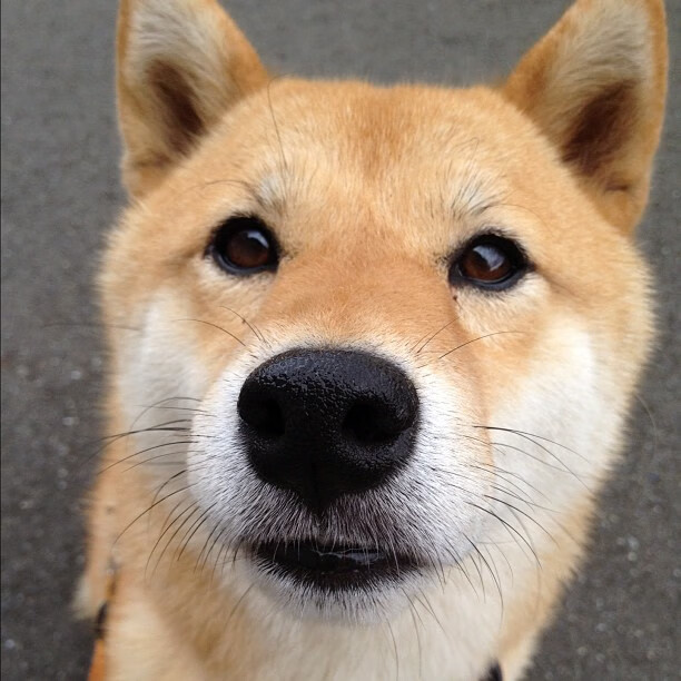 西决生死战之夜，班凯罗一手掌控比赛走势