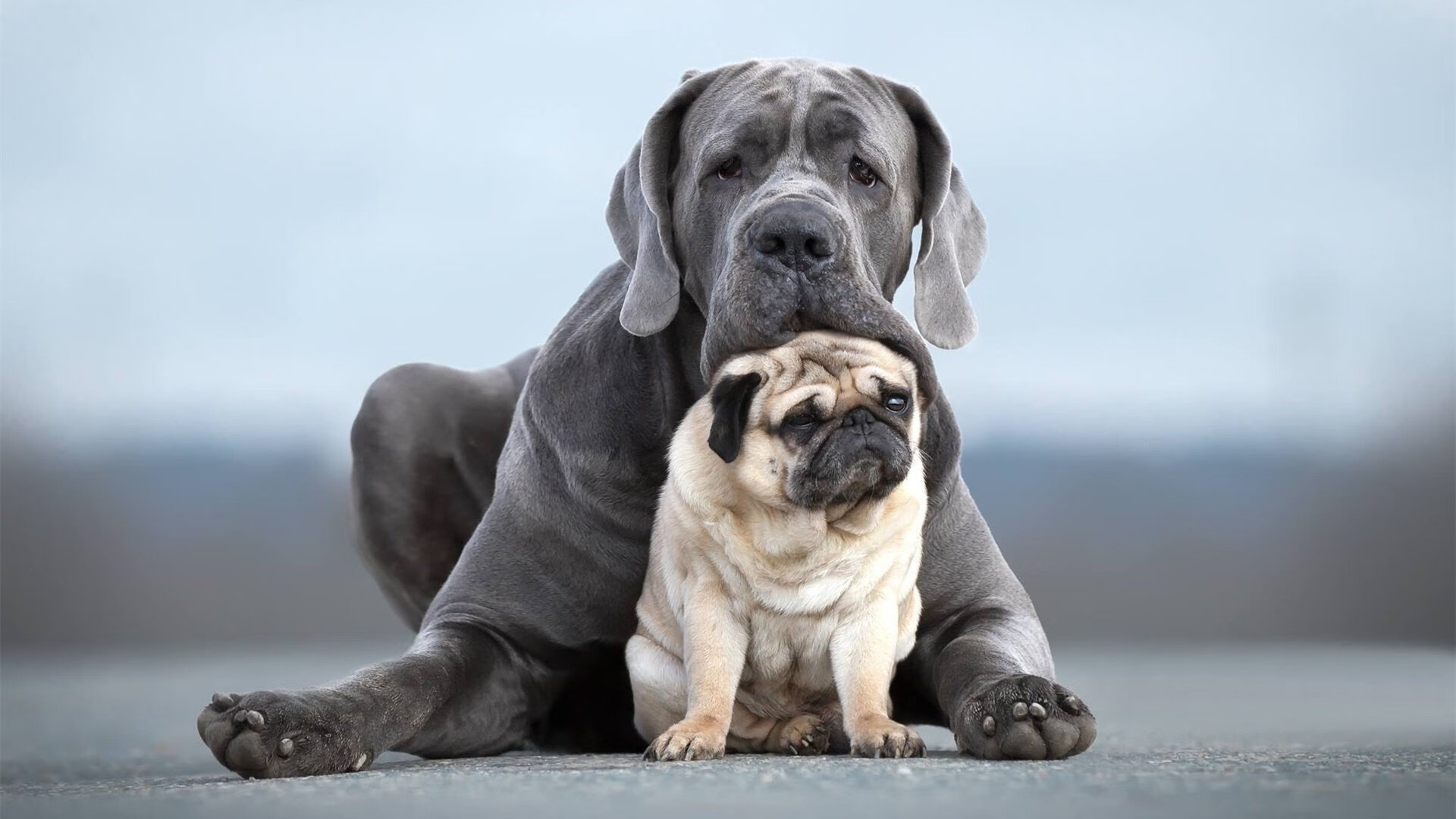 范弗利特暴走轰35+10！火箭攻防体系全面压制雄鹿，重建蓝图已见雏形
