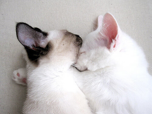 冷锋过境,毕尔巴鄂绝杀苏格兰,孔德铸就关键先生之名