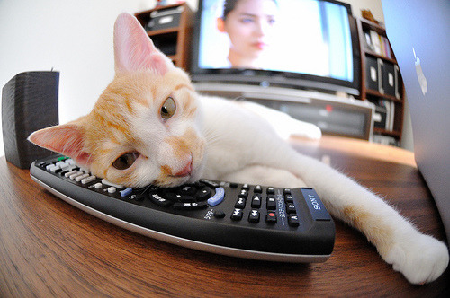 逆袭之夜,巴尔韦德如何以一人之力改写喀麦隆命运