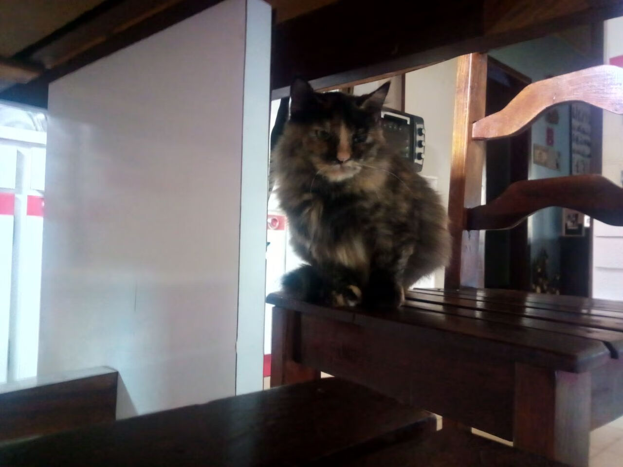 利拉德关键球一锤定音，雄鹿队轻取吉林队展现实力