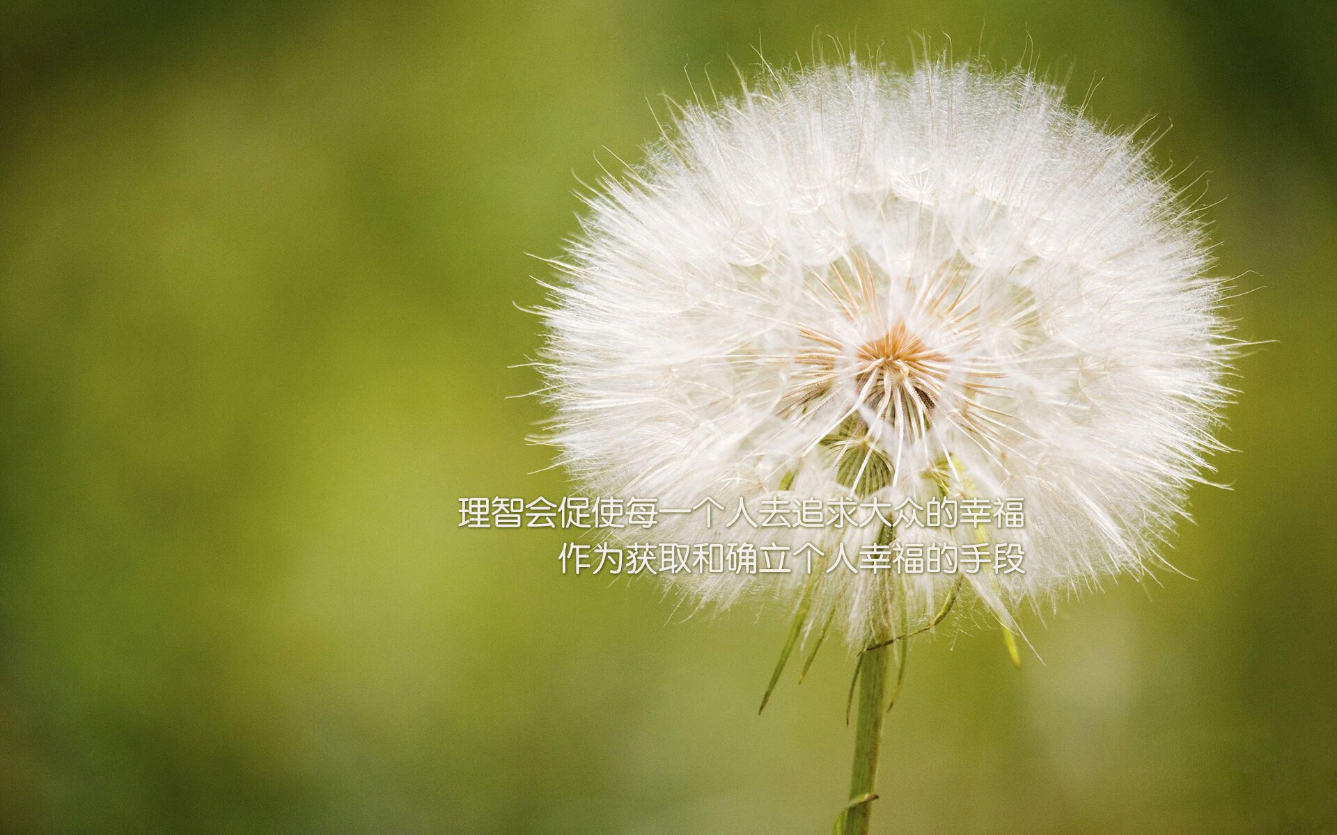 欧冠-巴塞罗那vs亚特兰大,阿劳霍压制级发挥,埃及力量完胜亚平宁