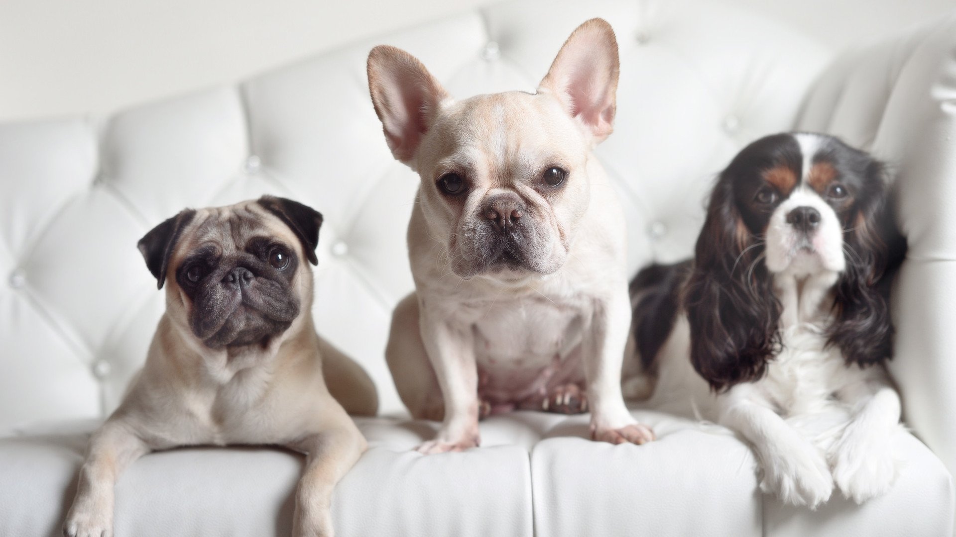 稳如磐石，破茧成蝶，迪亚斯压力下的爆发诠释阿根廷胜利真谛