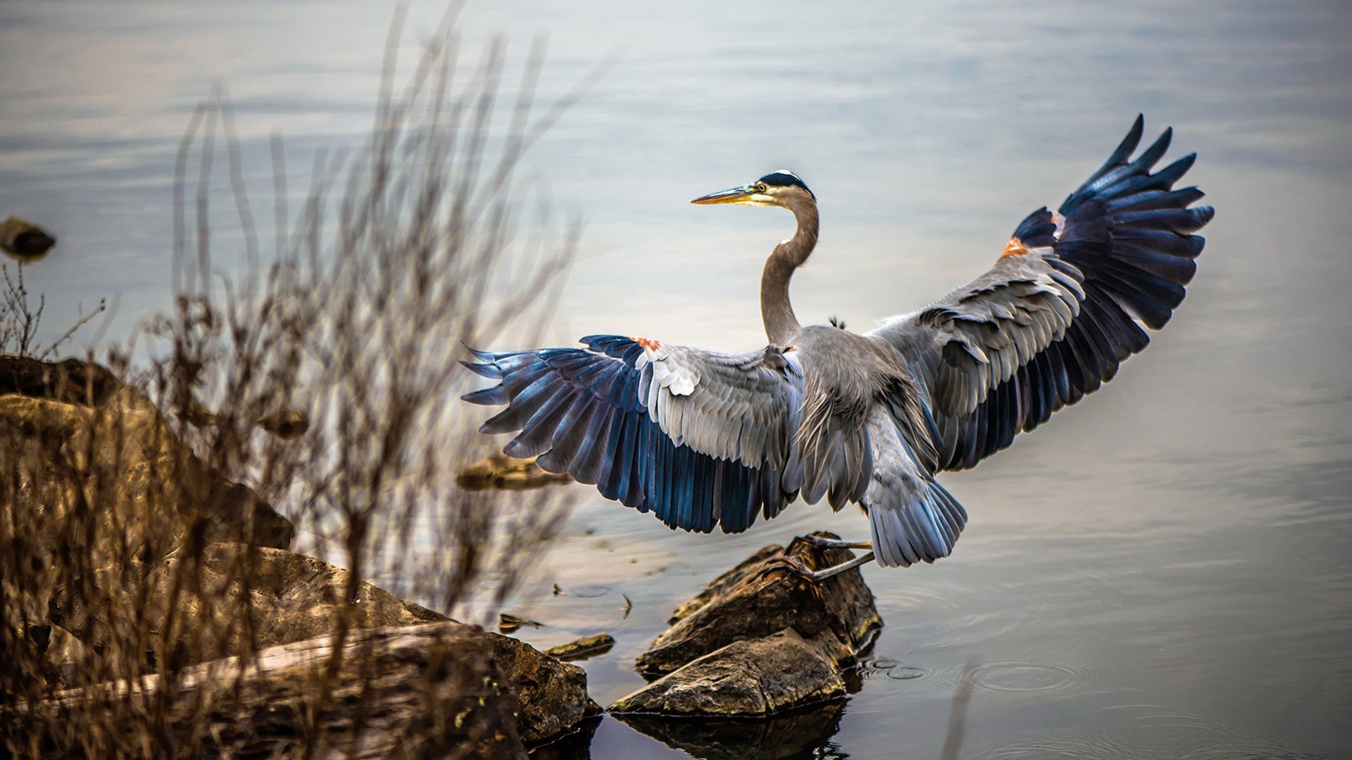 贝恩生涯之夜闪耀,活塞跨洲对决击败吉林队