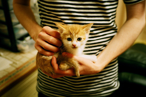 引擎与篮球的对话，当库里照亮F1揭幕战之夜