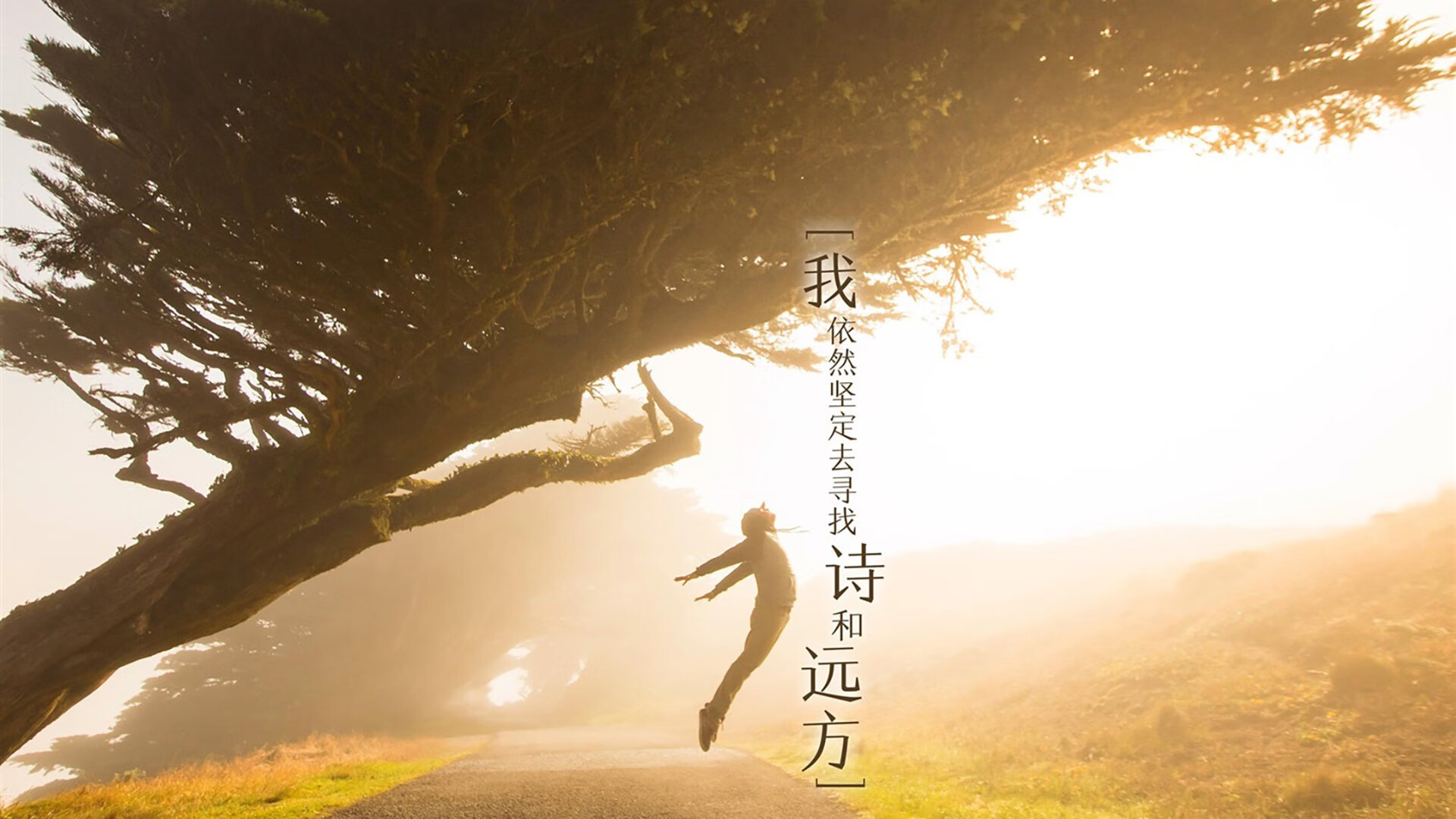 法兰西红龙吞噬东方序曲，当F1新赛季在引擎咆哮中写下法式注脚