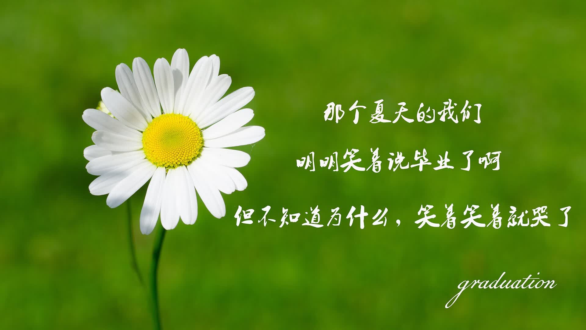 北非雄鹰震绿茵,哈基米导演神奇逆转,摩洛哥全场压制西班牙