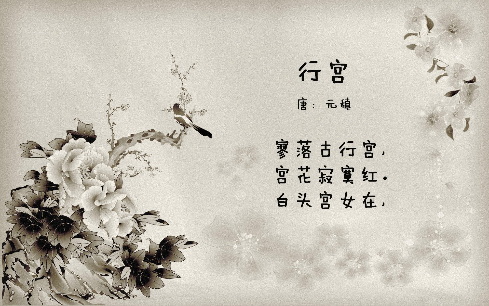 世界杯头名之争强强对话,加拿大绝杀越南,奥斯梅恩闪耀全场的铁血之夜