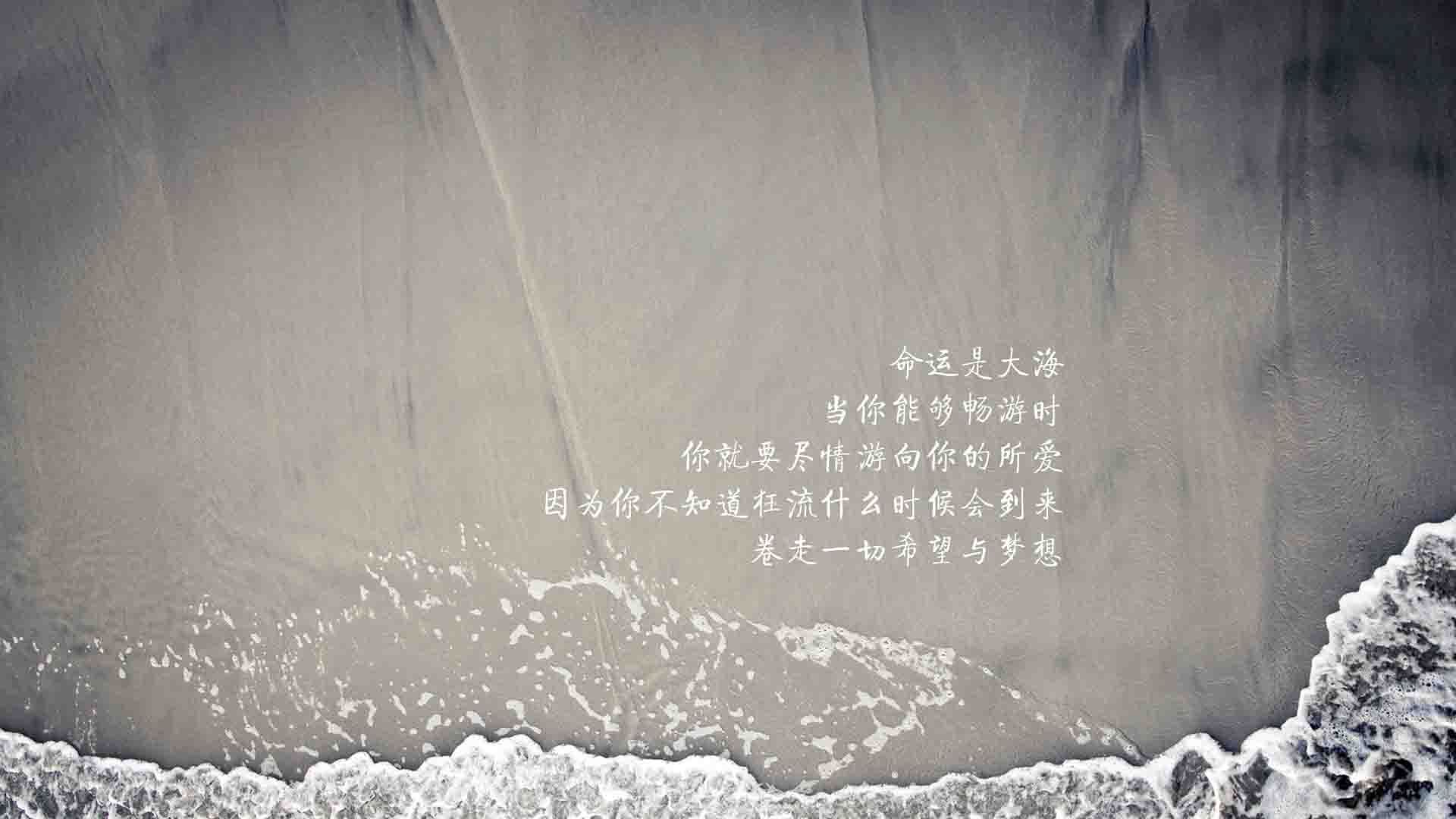 传奇之夜,2026世界杯G组,意大利防线崩塌,齐耶赫导演比利时闪电反击
